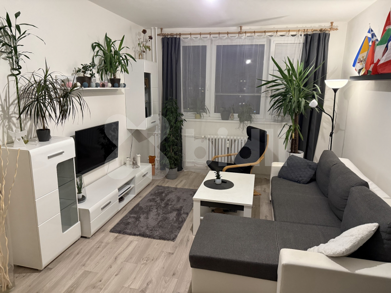 Pronájem bytu 2+1, 53 m²