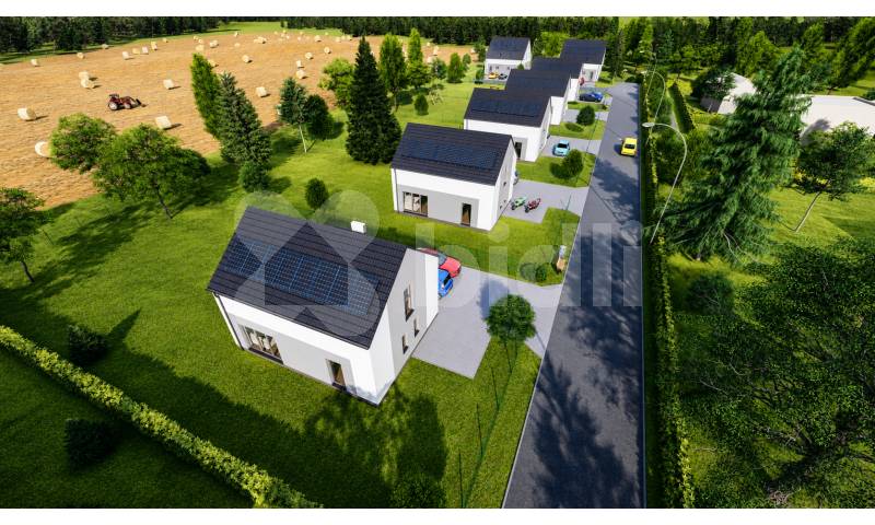 Bidli development