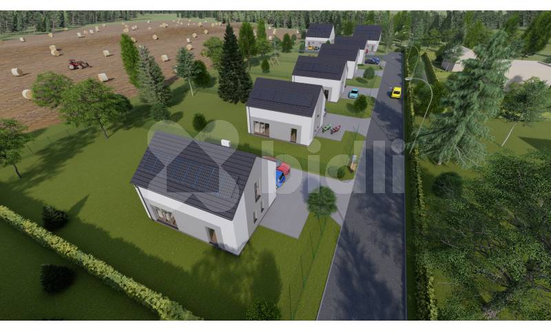 Bidli development