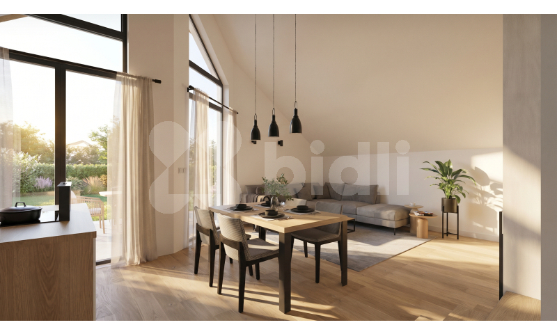 Bidli development