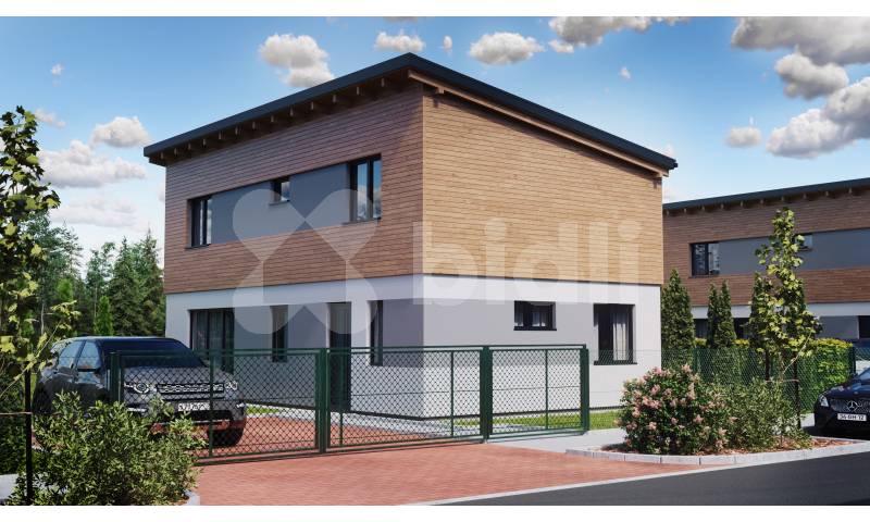 Bidli development